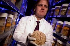 Los secretos sobre nuestro cerebro que reveló uno de los más singulares y ambiciosos estudios jamás realizado