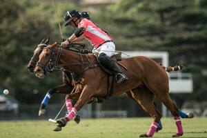 Polo: Comienza uno de los torneos más tradicionales: la Copa República Argentina