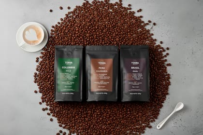 Macchiato decidió viajar al origen para buscar granos seleccionados en fincas específicas y que cada persona los prepare a su manera.