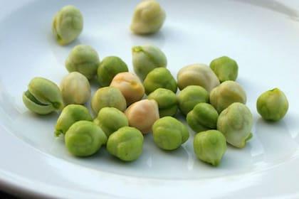 Por la medida, peligra un acuerdo para despachar porotos salteños desde el puerto de San Pedro a Cuba