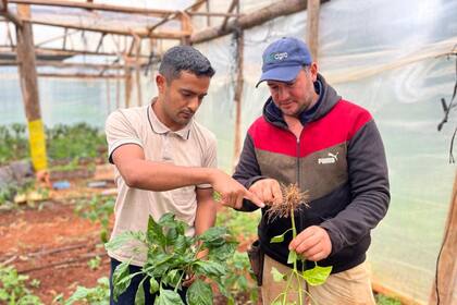 De acuerdo a los datos del Banco Mundial aproximadamente el 50% del consumo doméstico de alimentos es producido por las pequeñas unidades de agricultura familiar en todo el país
