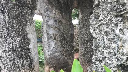 De acuerdo con algunos medios, cuando sus hijos y esposa de Leedskalnin se portaran mal, insertarían sus cabezas en estos agujeros, como forma de castigo (Crédito: BBc Mundo)