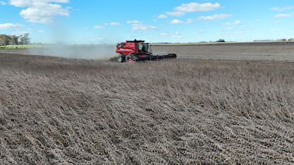 De acuerdo con cifras del sector privado, los productores tienen casi US$9600 millones para liquidar de la última campaña y algunos remanentes de experiencias anteriores