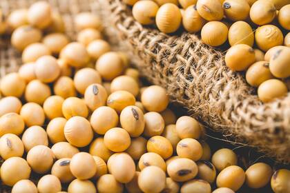 De acuerdo con el autor, en soja se requiere un cronograma claro de reducción de las retenciones hasta su desaparición para el caso de la soja y sus derivados