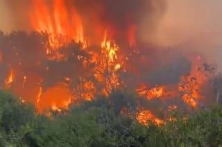 Video: impresionante incendio en el bosque entre Pinamar y Costa Esmeralda