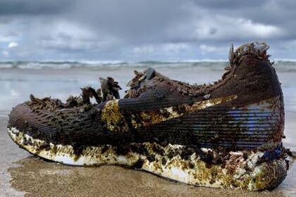 El plástico de los zapatos causa un impacto en los océanos
