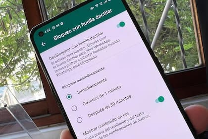 De esta manera podrás colocar contraseña a todas tus conversaciones de WhatsApp de manera automática