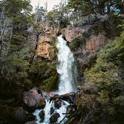 De fácil acceso y rodeada de bosque, esta cascada ofrece un refrescante punto de encuentro para caminatas cortas y momentos de tranquilidad