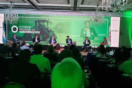 De Felipe, Flaiban, Angio, Garbers, Dranovsky y la presidenta de LIDE Agronegocios Laura Loizeau