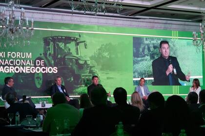 De Felipe, Martins, Borri, Roggero y la periodista Jorgelina Traut