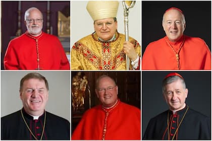 De izquierda a derecha y de arriba a abajo: Sean O’Malley, Raymond Leo Burke, Robert McElroy, Joseph Tobin, Timothy Dolan y Blase Cupich