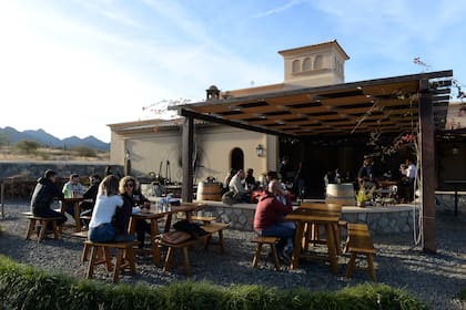 Mini-vacaciones en Salta. Linda vida de estancia y vinos de altura