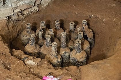De las 35 botellas descubiertas en la excavación, 29 están intactas y contienen cerezas y bayas