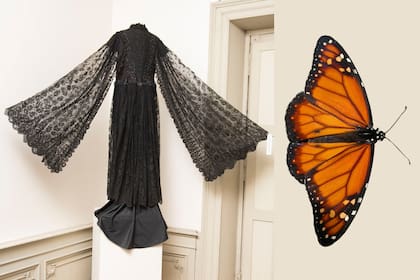 De las alas a las mangas