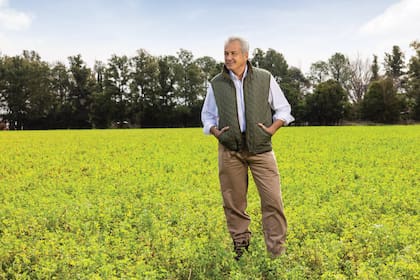 De las once hectáreas, seis fueron destinadas al cultivo de alfalfa. Ivo supervisa el rastrillaje, traslada los fardos al galpón y, más tarde, los reparte a los compradores, criadores de caballos de alta performance.