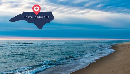 De no cumplir con la nueva legislatura, se aplicarán multas de hasta US$2000 Foto: Pixabay