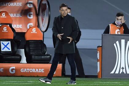 De pie y pegado a la línea de cal, así vivió Gallardo todo el partido