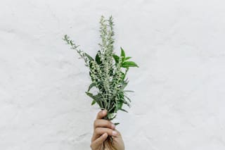 La mejor manera de usar el romero para cuidar el cabello y ayudarlo a que crezca mejor