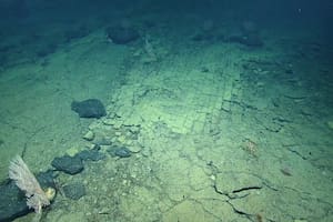 De qué se trata el misterioso hallazgo en el fondo del ccéano Pacífico