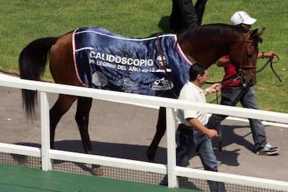 Calidoscopio, la joya de Echeverz que se impuso en una histórica carrera en la Breeders' Cup