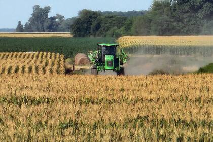 De sus 690 hectáreas, 630 se destinan a rotaciones de maíz, soja, girasol y, ocasionalmente, cebada, en un sistema 100% de siembra directa