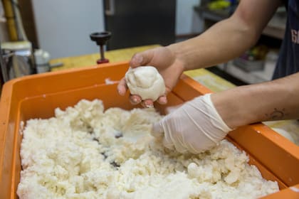 De un kilo de harina pan salen aproximadamente veinte arepas