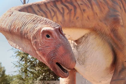 De Villa El Chocón a Plaza Huincul, un recorrido por museos, sitios de excavación y parques con figuras en tamaño real