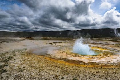 Adelantándose a su época, Darwin insinuó que la vida pudo comenzar en una masa de agua más pequeña en tierra, rica en sustancias químicas