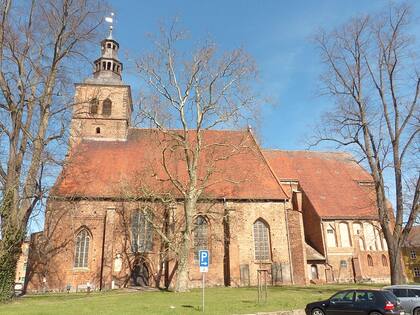 Debajo de la iglesia de Santa María se descubrieron más de 1000 reliquias del siglo XIII