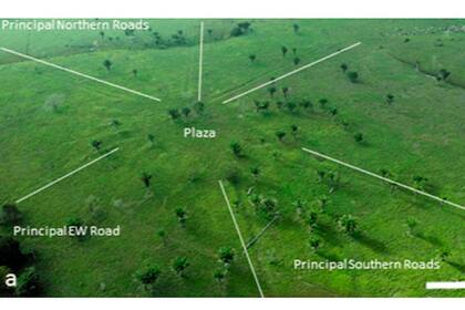 Debajo de la vegetación se revela la silueta de varias ciudadelas ocultas