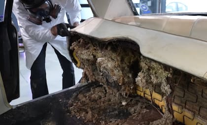 Debajo de los asientos había nido de ratas