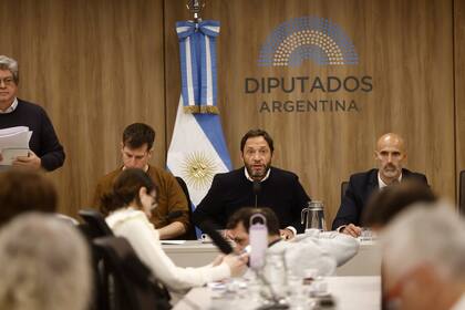 Debate de comisión del caso $LIBRA en diputados.