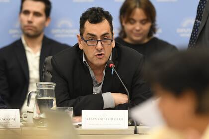 Debate en comisión de diputados por la ley ómnibus
Leonardo Cifelli