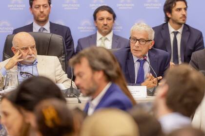 Debate en comisión en diputados sobre la ley omnibus. Expone el ministro de justicia Cuneo Libarona