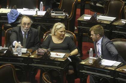 Debate por el aborto, carrió Agustín Rossi