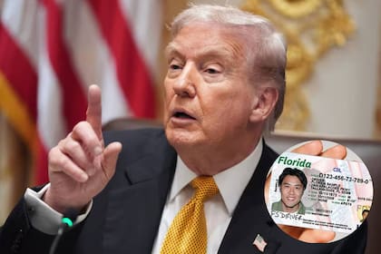 Debate sobre la legalidad de las detenciones migratorias tras un respaldo a las políticas de línea dura de la administración Trump