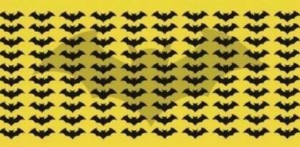 Deberás encontrar el murciélago que no se parece a los otros en solo 10 segundos.