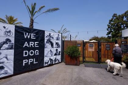 Debido a las normas de seguridad y al bienestar de los perros actualmente no se permite la entrada de menores de 16 años al parque