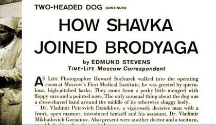 Debido al artículo y fotos de LIFE Magazine, quedó en la memoria de algunos como un científico loco (Captura de pantalla del artículo)