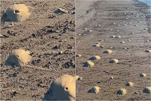 La curiosa razón detrás de los extraños mini volcanes que aparecieron en una playa de Texas