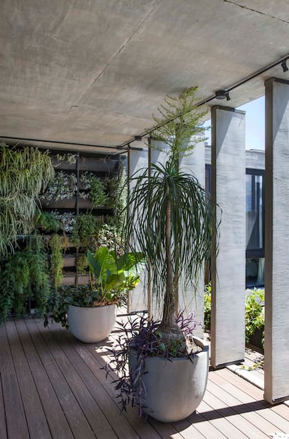 Deck (Patagonia Flooring), macetas (La Cioppa) con plantas y jardín vertical (Viveros El Botánico)