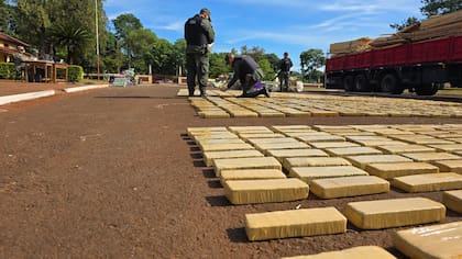 Decomiso de más de siete toneladas de marihuana en Misiones