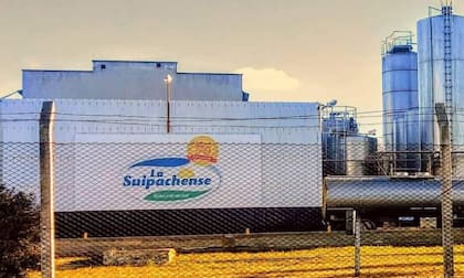 Decretaron la quiebra de la controlante de la láctea La Suipachense