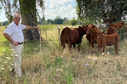 Definir objetivos productivos y un plan estratégico claro es el primer paso para mejorar la eficiencia ganadera