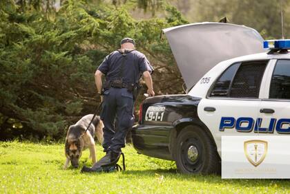 DeJesus-Santos volvió a Virginia, donde la policía lo detuvo por otra infracción y un perro antinarcóticos alertó sobre su vehículo, donde hallaron 200 gramos de fentanilo y 293 gramos de una mezcla de fentanilo y heroína