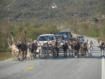 Por los caminos del Ártico, a los que llegan cada verano para vender artesanías