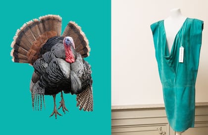Del buche de un pavo al escote de un vestido