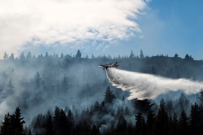 Del combate del fuego participan seis medios aéreos que operan a requerimiento del personal en la línea