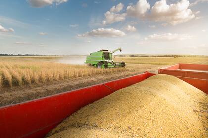 Del complejo soja el 84% no se exporta como grano. Lidera harina con el 54%