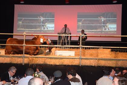 Del evento participaron alrededor de 700 personas